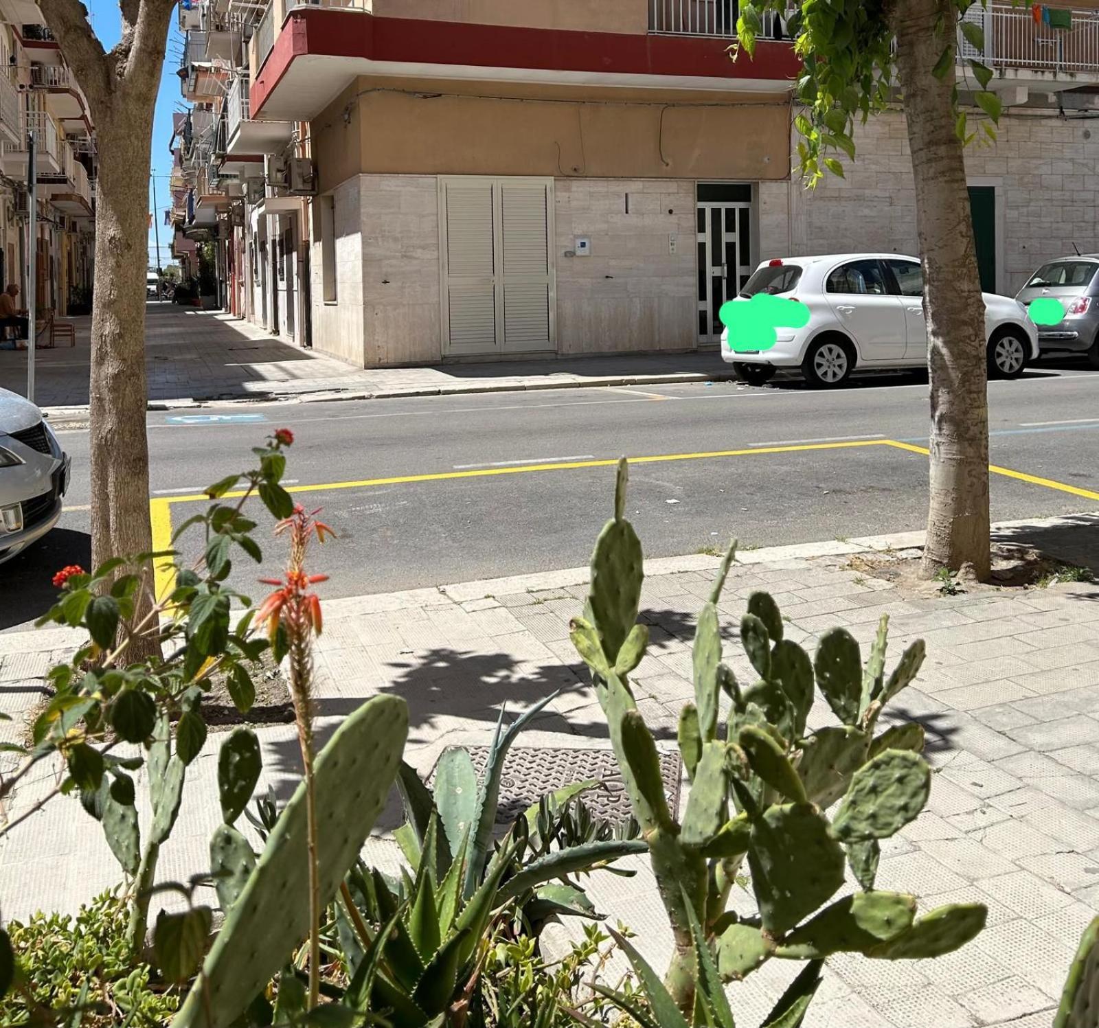 Appartamento Centralissimo Zona Terme Margherita Di Savoia Εξωτερικό φωτογραφία